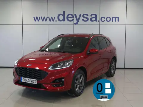 Used FORD KUGA  2023 Ad 