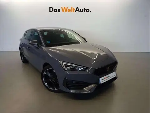 Used CUPRA LEON Petrol 2024 Ad 