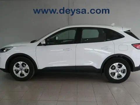 Used FORD KUGA Petrol 2021 Ad 