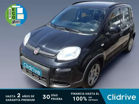 Used FIAT PANDA Petrol 2023 Ad 