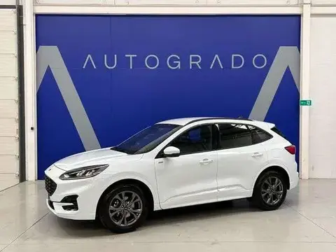 Annonce FORD KUGA Essence 2023 d'occasion 