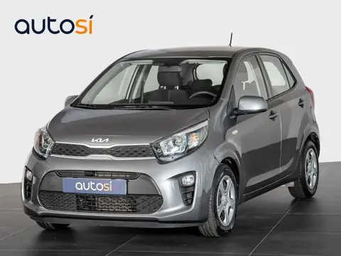 Annonce KIA PICANTO Essence 2024 d'occasion 