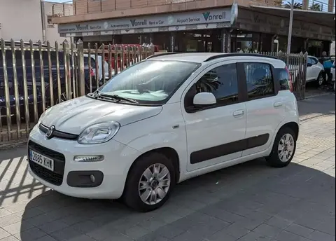 Used FIAT PANDA Petrol 2018 Ad 