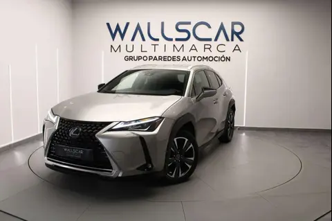 Used LEXUS UX Hybrid 2020 Ad 