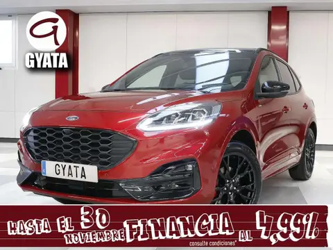 Annonce FORD KUGA Hybride 2023 d'occasion 