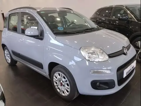 Used FIAT PANDA Petrol 2019 Ad 