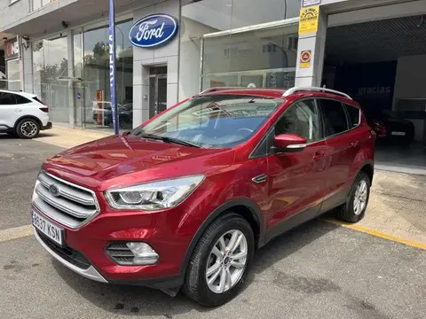 Used FORD KUGA Diesel 2019 Ad 