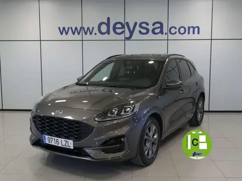 Annonce FORD KUGA Diesel 2022 d'occasion 