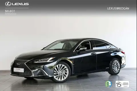 Used LEXUS ES Hybrid 2020 Ad 