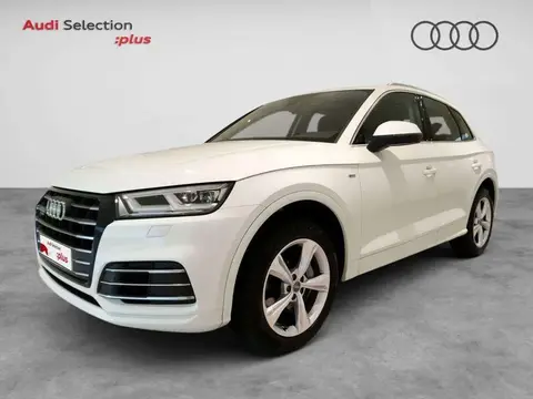 Used AUDI Q5 Hybrid 2020 Ad 