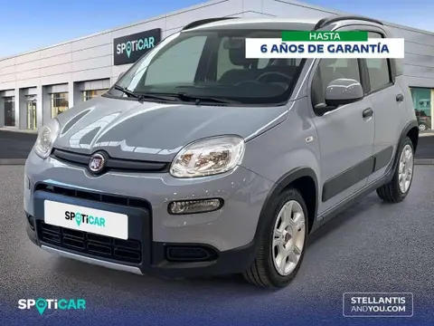 Annonce FIAT PANDA Essence 2022 d'occasion 