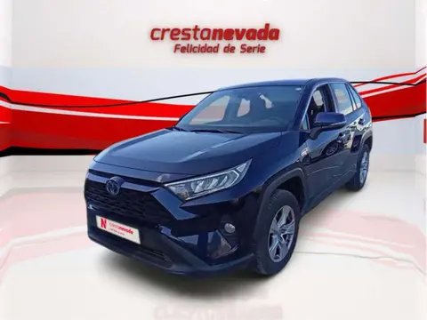 Used TOYOTA RAV4 Hybrid 2021 Ad 