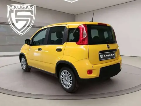 Used FIAT PANDA Petrol 2024 Ad 