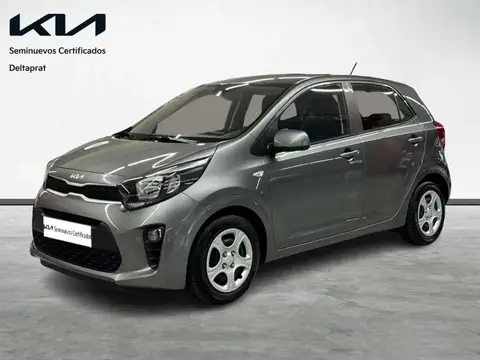 Used KIA PICANTO Petrol 2023 Ad 