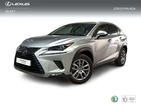 Annonce LEXUS NX Hybride 2020 d'occasion 