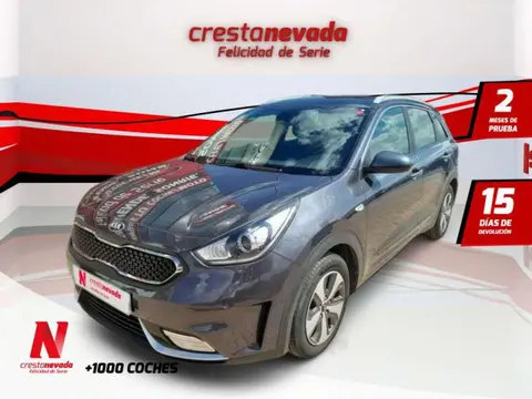 Annonce KIA NIRO Hybride 2019 d'occasion 