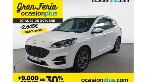 Annonce FORD KUGA Hybride 2023 d'occasion 