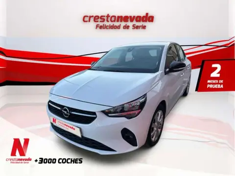 Annonce OPEL CORSA Essence 2021 d'occasion 