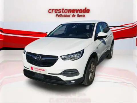 Annonce OPEL GRANDLAND Diesel 2019 d'occasion 