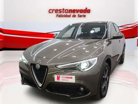 Used ALFA ROMEO STELVIO Diesel 2017 Ad 