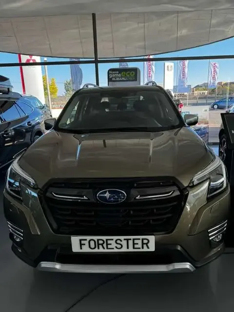 Used SUBARU FORESTER Hybrid 2024 Ad 