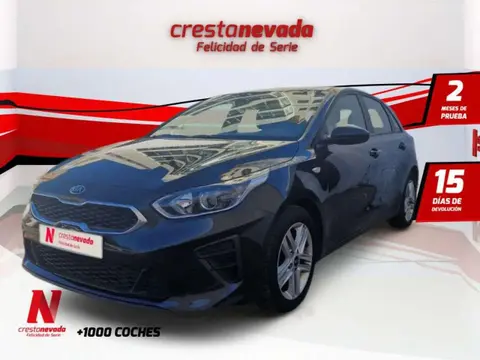 Used KIA CEED Petrol 2021 Ad 