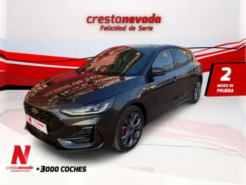 Annonce FORD FOCUS Hybride 2022 d'occasion 