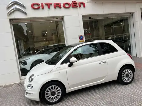 Used FIAT 500 Petrol 2023 Ad 