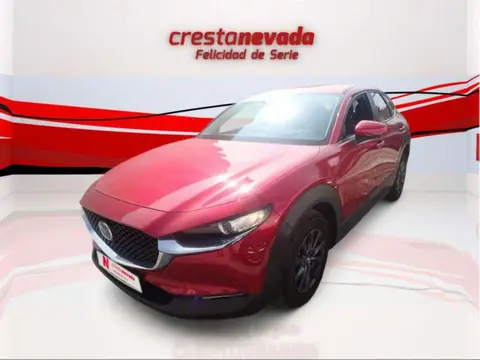 Annonce MAZDA CX-30 Essence 2020 d'occasion 