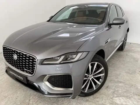 Used JAGUAR F-PACE Diesel 2023 Ad 