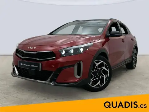 Used KIA XCEED Petrol 2024 Ad 