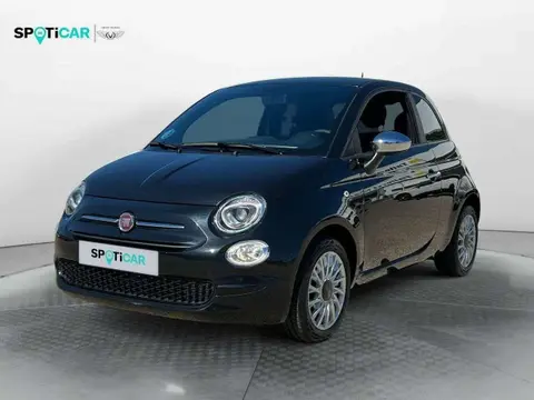 Used FIAT 500 Petrol 2023 Ad 