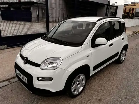 Used FIAT PANDA Petrol 2023 Ad 