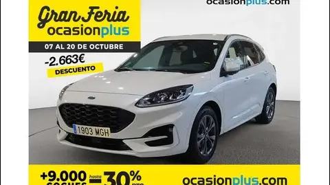 Used FORD KUGA Hybrid 2023 Ad 