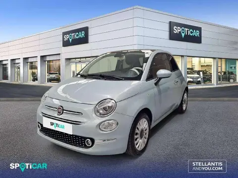 Used FIAT 500 Petrol 2023 Ad 