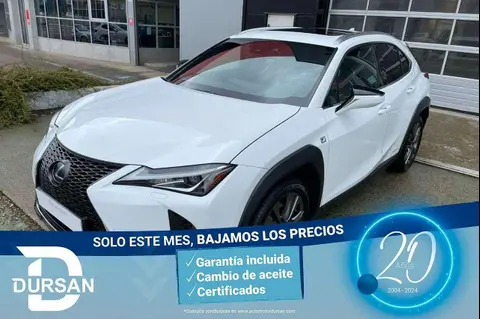 Used LEXUS UX Hybrid 2019 Ad 