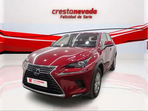 Used LEXUS NX Hybrid 2019 Ad 