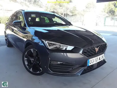 Used CUPRA LEON Petrol 2023 Ad 