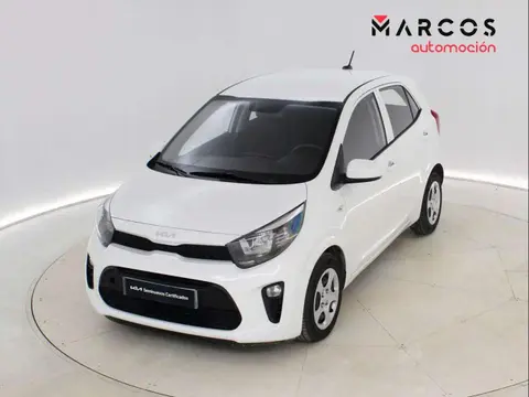 Used KIA PICANTO Petrol 2023 Ad 