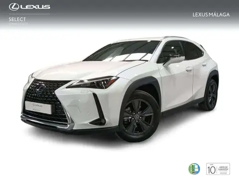 Annonce LEXUS UX Hybride 2023 d'occasion 