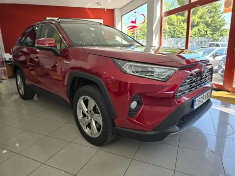 Used TOYOTA RAV4 Hybrid 2019 Ad 