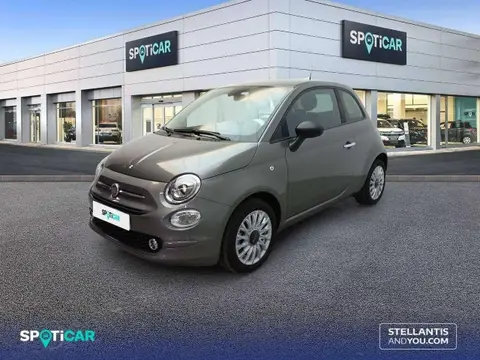 Used FIAT 500 Petrol 2023 Ad 