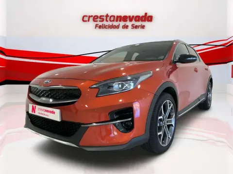 Used KIA XCEED Hybrid 2022 Ad 