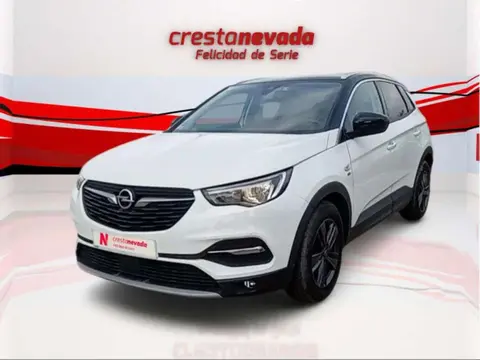 Used OPEL GRANDLAND Diesel 2019 Ad 