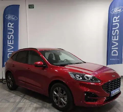 Used FORD KUGA Hybrid 2020 Ad 