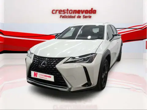 Used LEXUS UX Hybrid 2020 Ad 