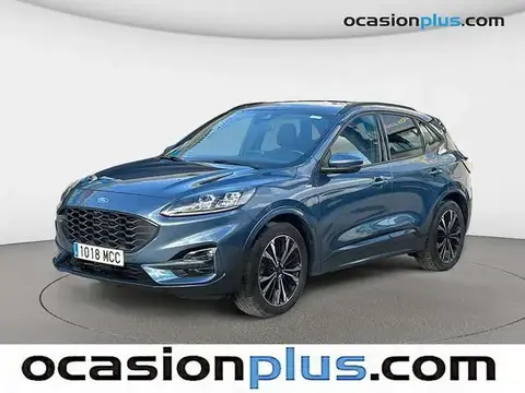 Used FORD KUGA Petrol 2022 Ad 