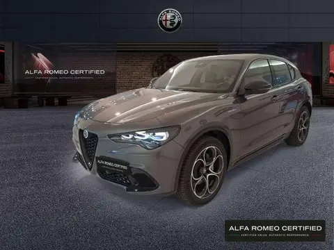 Used ALFA ROMEO STELVIO Diesel 2024 Ad 