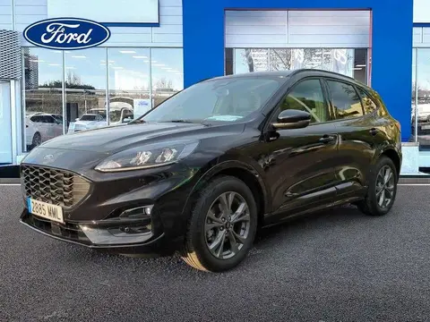 Used FORD KUGA Hybrid 2023 Ad 