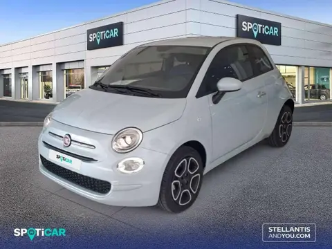 Used FIAT 500 Petrol 2023 Ad 